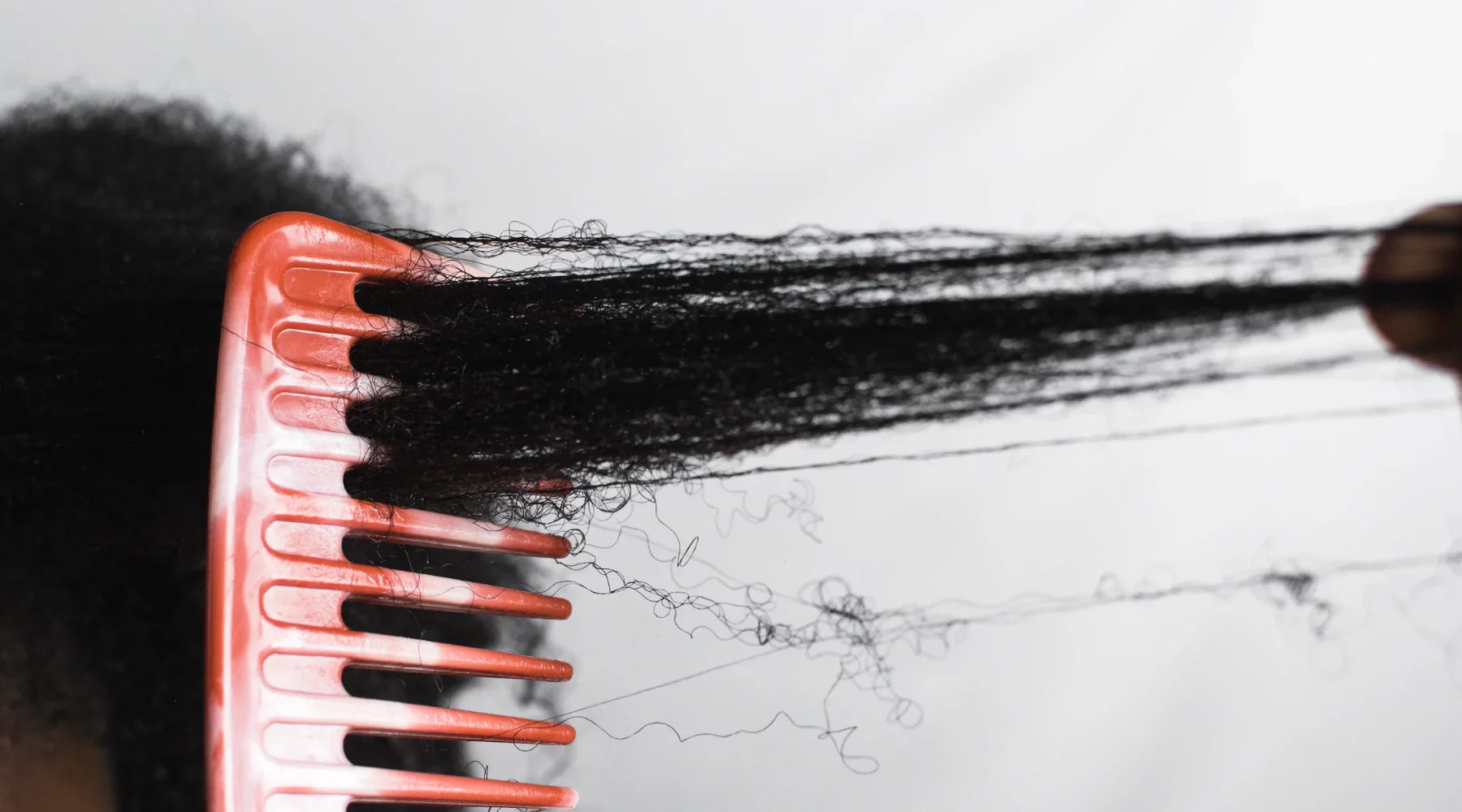 View of How to Prevent Matting in Afro-Textured Hair: A Complete Guide