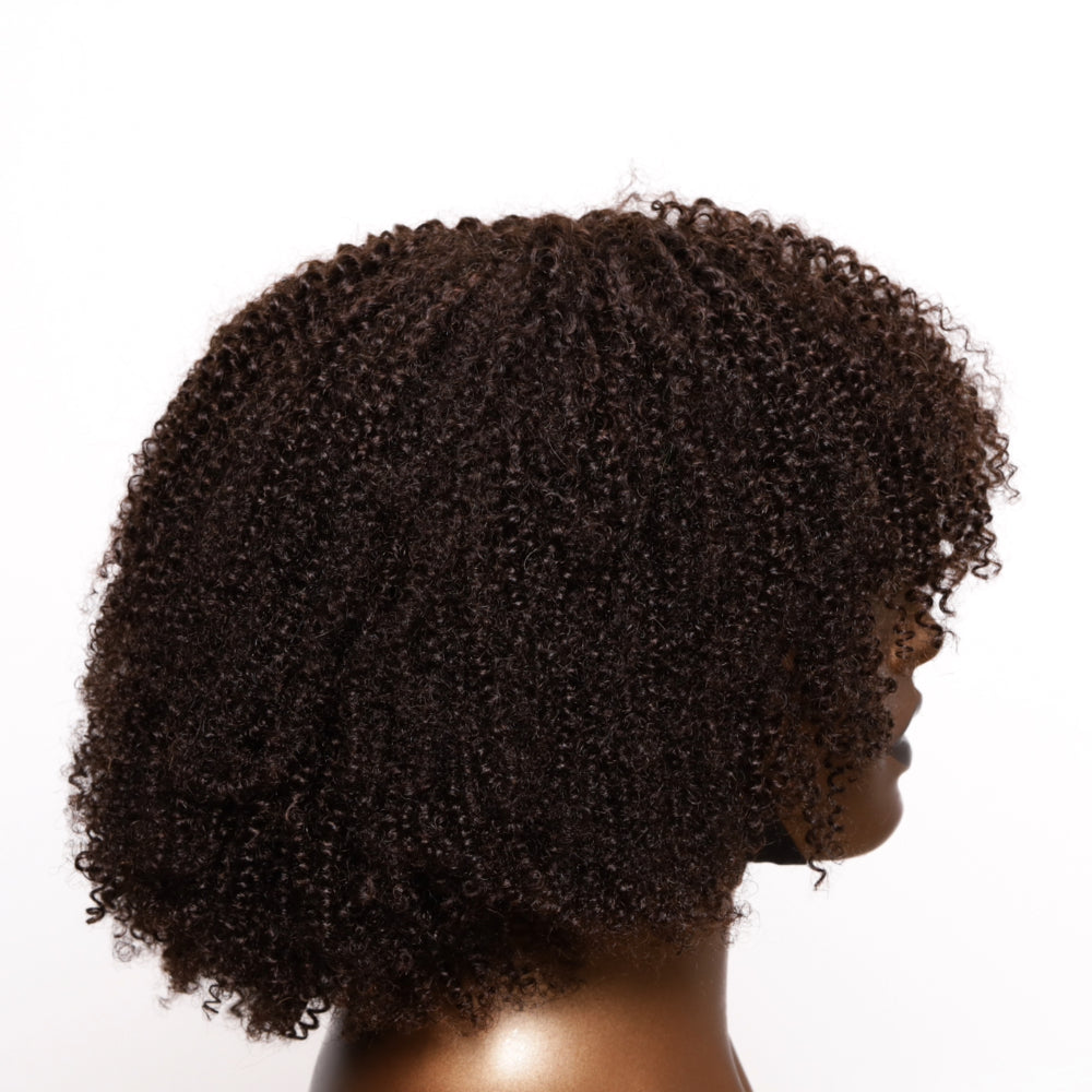 Afro Coily Fro Lace Wig