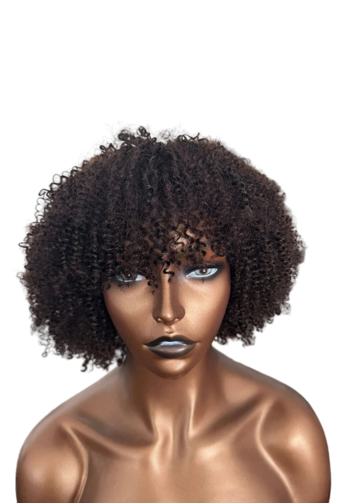 Afro Coily Fro Lace Wig