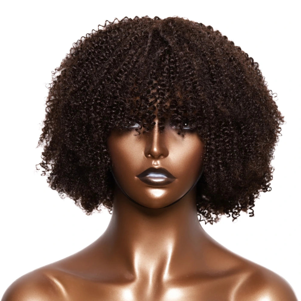Afro Coily Fro Lace Wig
