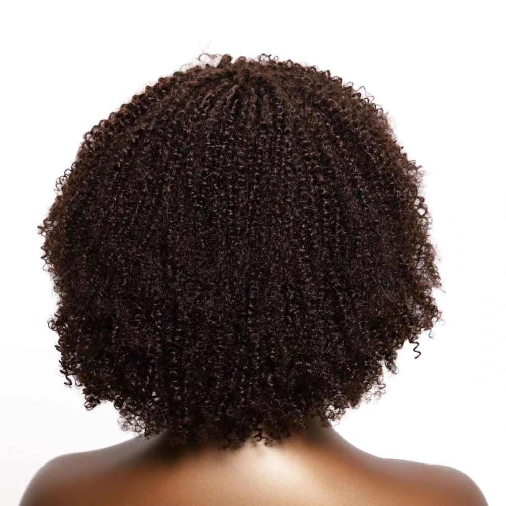 Afro Coily Fro Lace Wig