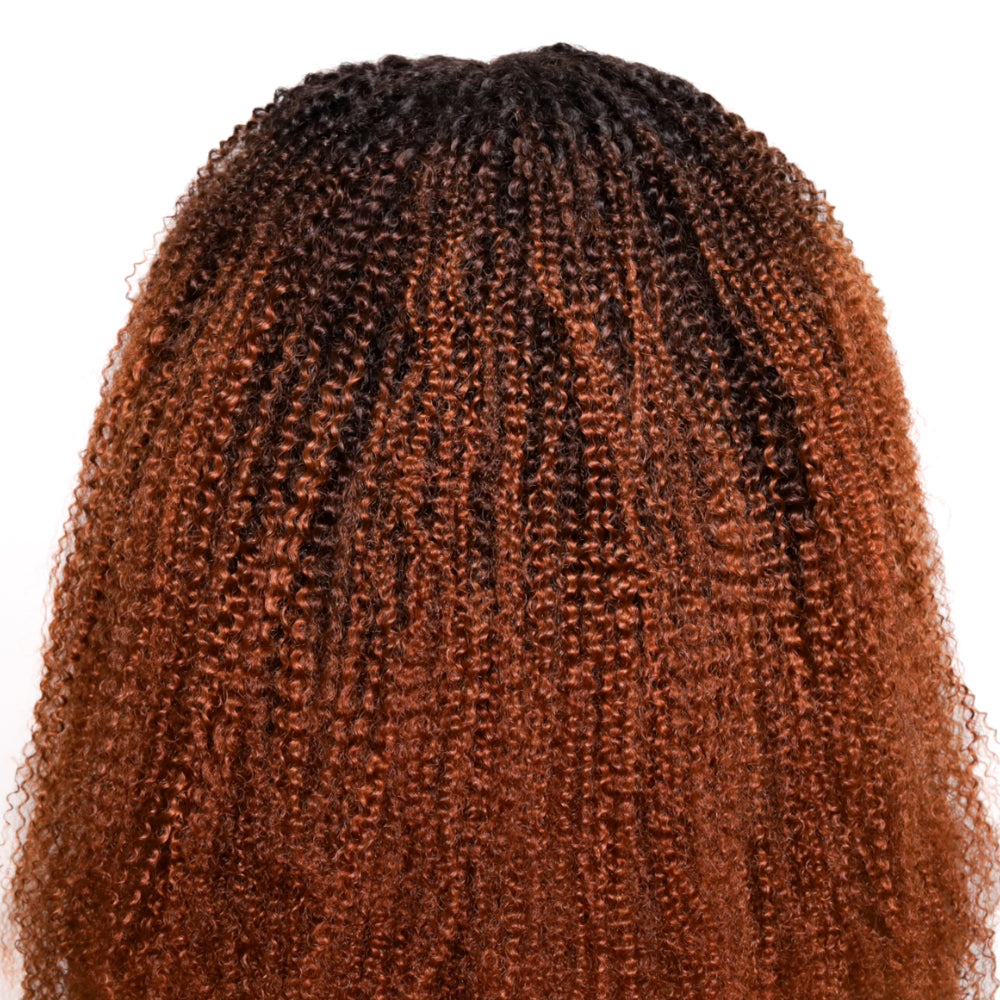 Ombre Afro Kinky Coily Lace Wig