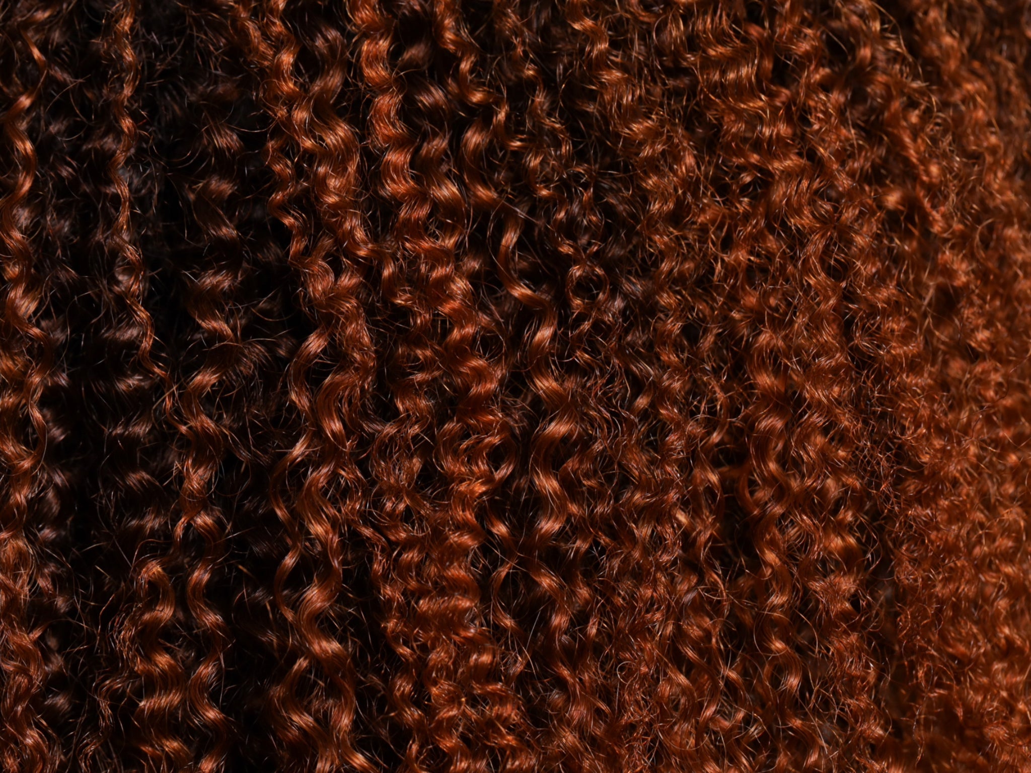 Ombre Afro Kinky Coily Lace Wig